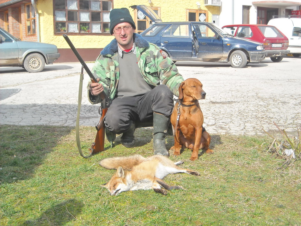 Odstreljena lisica