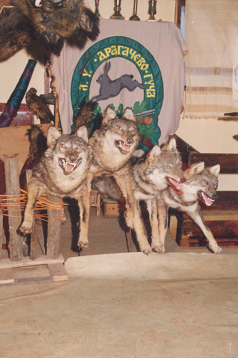 Dragačevski vukovi