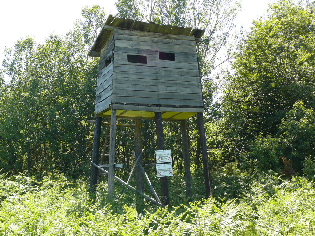 Lovačka čeka
