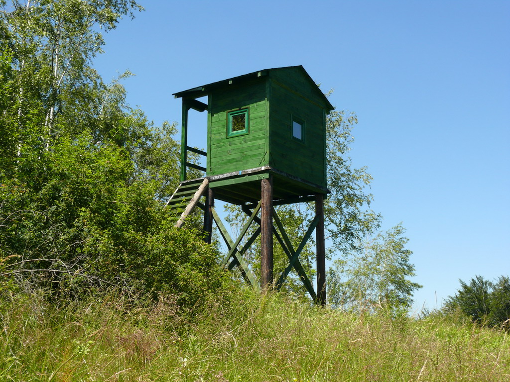 Lovačka čeka