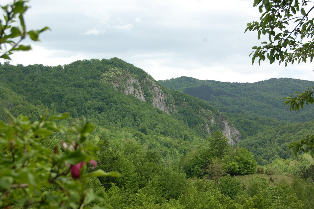 Lovište "Dragačevo"