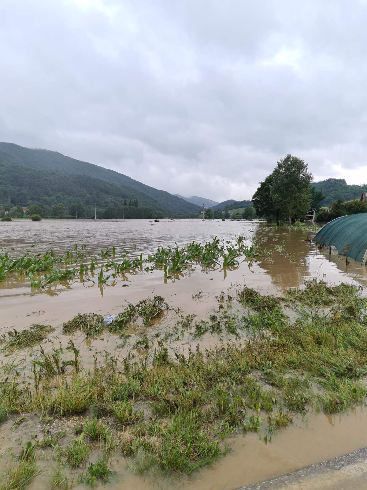 Poplava, 23.06.2020. godine