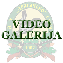 Video galerija